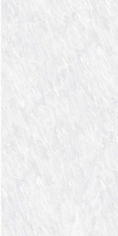 OL Vivid White Matte 24 x 48